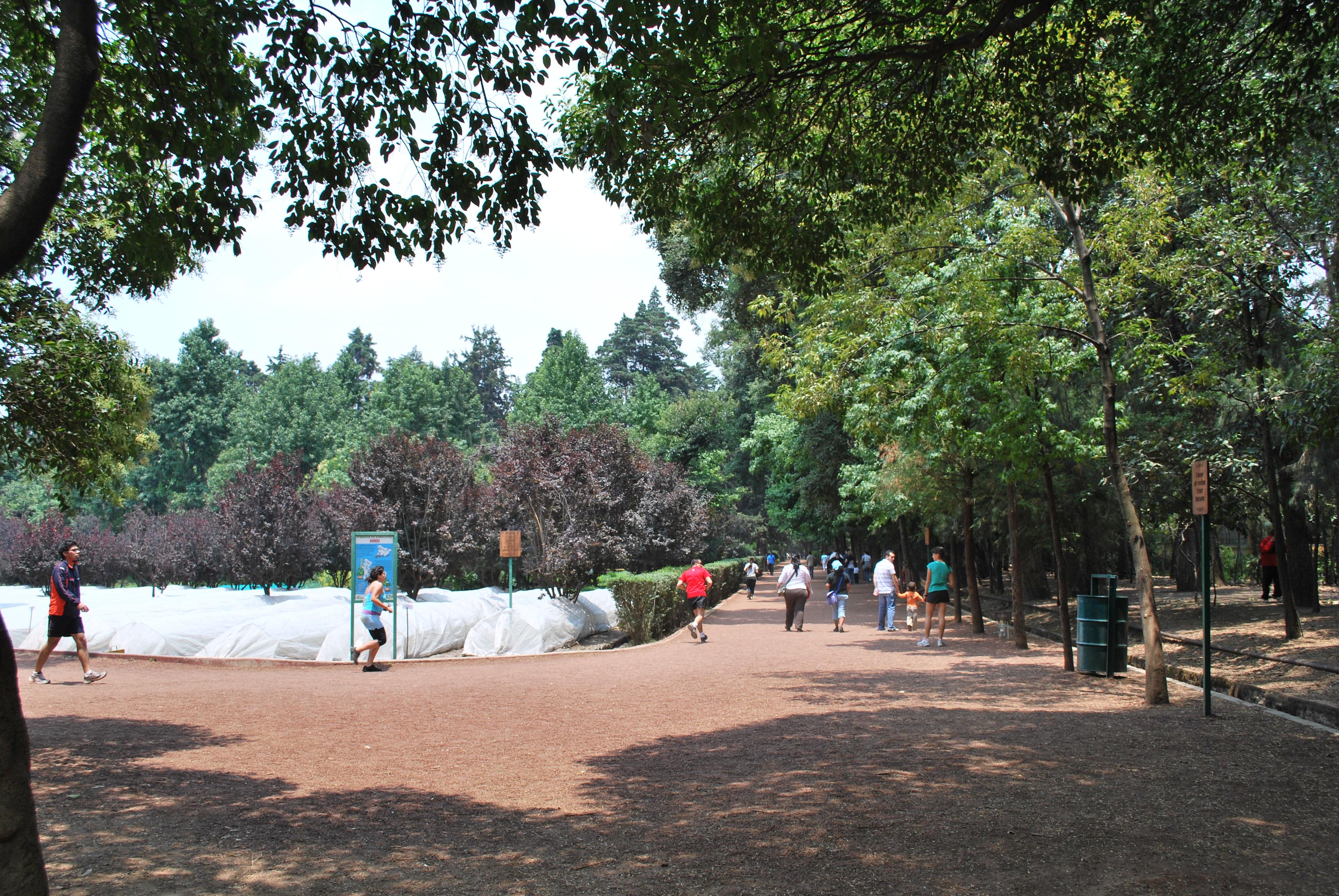 Museo del Azúcar